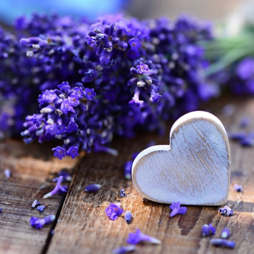 💜Meet your Posher, Elizabeth.   Poshmark Ambassador